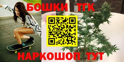 индика Краснокаменск