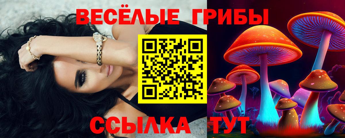 Псилоцибиновые грибы ЛСД Каменск-Уральский