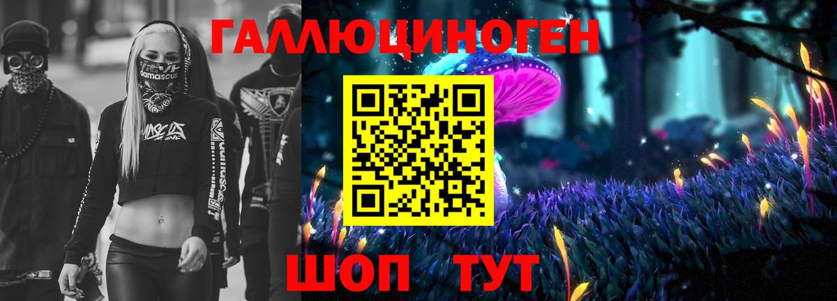 Галлюциногенные грибы мицелий  закладка  Каменск-Уральский  Вход с VPN 